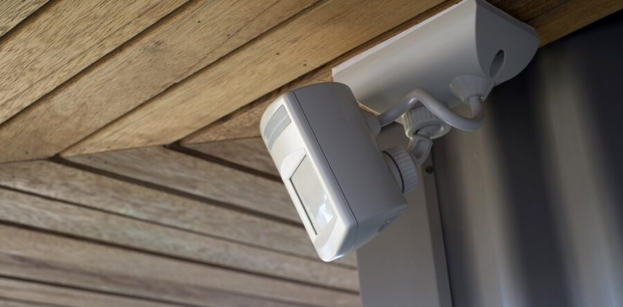 Czujka ruchu a zwierzak. Czy da się to pogodzić?